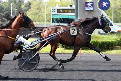 Photo d'arrivée de la course pmu PRIX DE MAMERS à PARIS-VINCENNES le Mardi 7 mai 2024