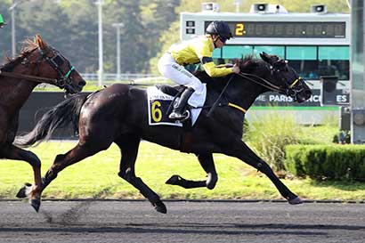 Photo d'arrivée de la course pmu PRIX HERSILIA à PARIS-VINCENNES le Mardi 7 mai 2024
