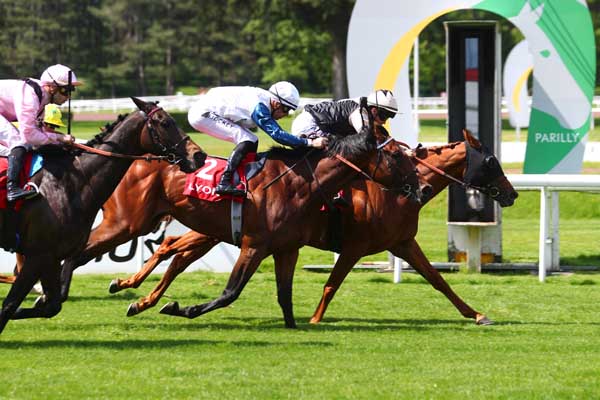 Photo d'arrivée de la course pmu GRAND PRIX DE LYON PARILLY à LYON PARILLY le Mercredi 8 mai 2024