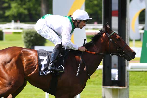Photo d'arrivée de la course pmu PRIX LES FINALES MAF - PRIX TORNIBUSH à LYON PARILLY le Mercredi 8 mai 2024