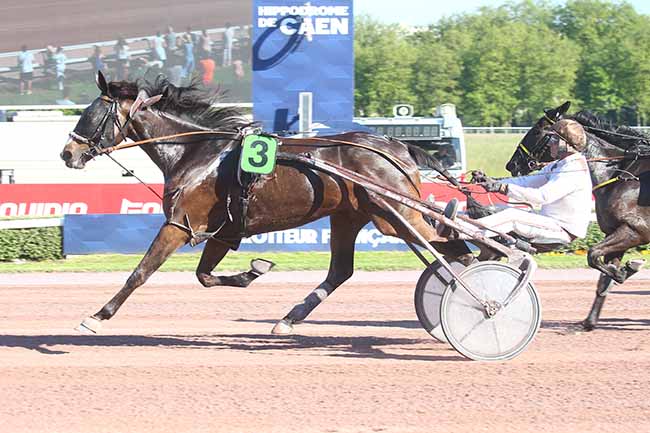 Photo d'arrivée de la course pmu PRIX OUEST FRANCE (PRIX DE LA TOUQUES) à CAEN le Samedi 11 mai 2024