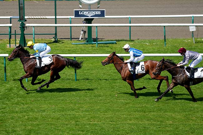 Photo d'arrivée de la course pmu PRIX DES LILAS à CHANTILLY le Samedi 11 mai 2024