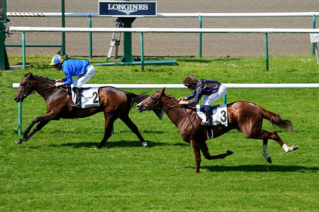 Photo d'arrivée de la course pmu PRIX DE GUICHE à CHANTILLY le Samedi 11 mai 2024