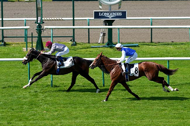 Photo d'arrivée de la course pmu PRIX DE LA BERLINE DU DUC DE BOURBON à CHANTILLY le Samedi 11 mai 2024