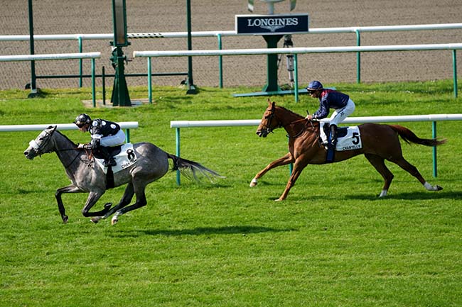 Photo d'arrivée de la course pmu PRIX DE LA CALECHE DES IMPERATRICES à CHANTILLY le Samedi 11 mai 2024
