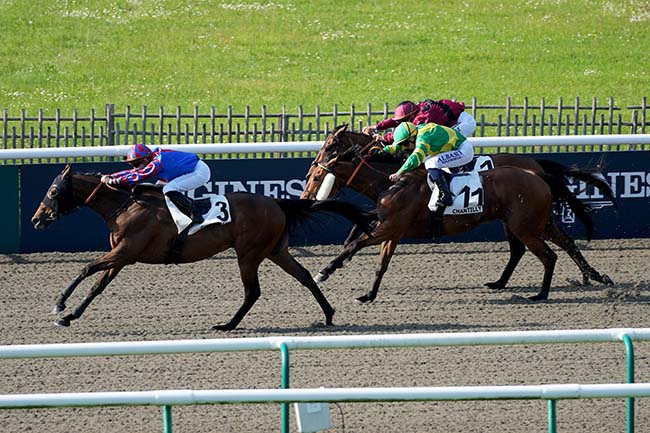 Photo d'arrivée de la course pmu PRIX DE BOREST à CHANTILLY le Samedi 11 mai 2024