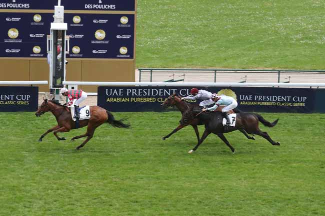 Photo d'arrivée de la course pmu PRIX DE MOGADOR à LONGCHAMP le Dimanche 12 mai 2024