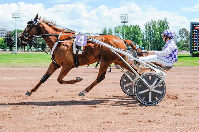 Photo d'arrivée de la course pmu PRIX DE SAINT-POURCAIN-SUR-SIOULE à VICHY le Lundi 13 mai 2024