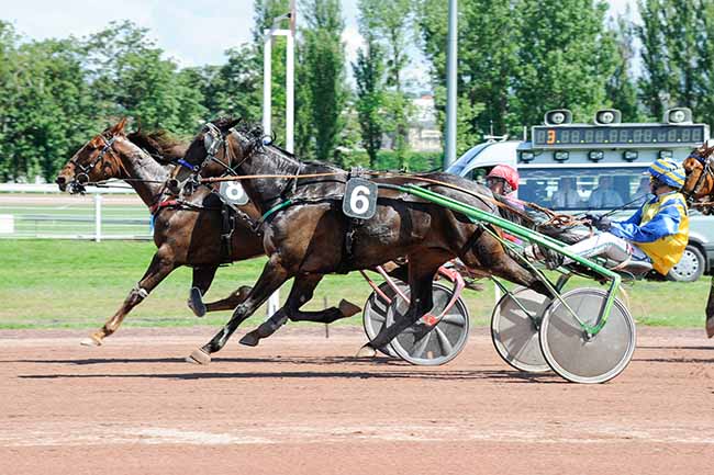 Photo d'arrivée de la course pmu PRIX DE TOULON-SUR-ALLIER à VICHY le Lundi 13 mai 2024