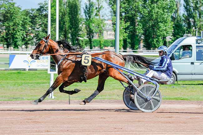 Photo d'arrivée de la course pmu PRIX DE SAINT-PONT à VICHY le Lundi 13 mai 2024