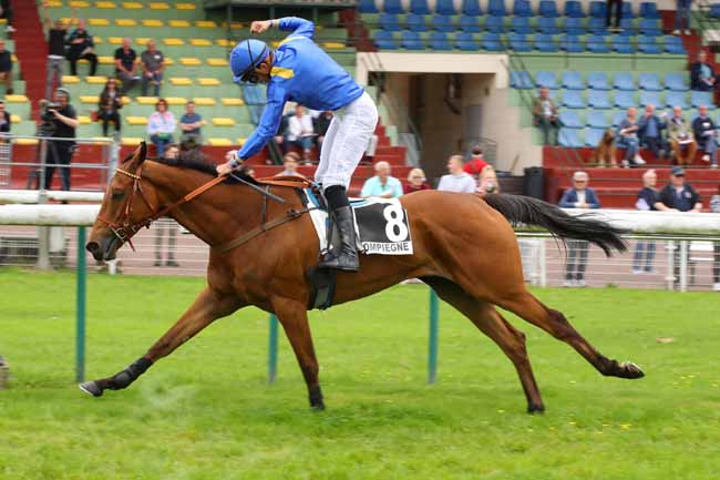 Photo d'arrivée de la course pmu PRIX DU CHER à COMPIEGNE le Lundi 13 mai 2024