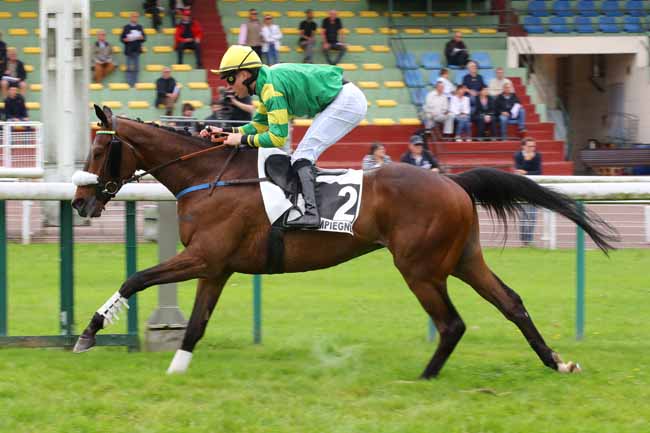 Photo d'arrivée de la course pmu PRIX EL PASO III à COMPIEGNE le Lundi 13 mai 2024