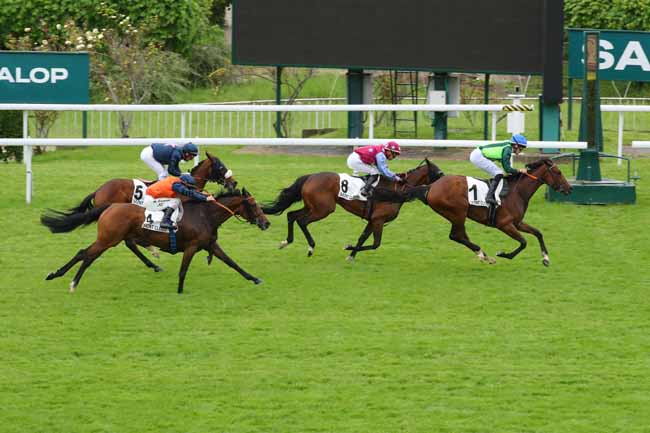 Photo d'arrivée de la course pmu PRIX DE GRIGNON à SAINT CLOUD le Mardi 14 mai 2024