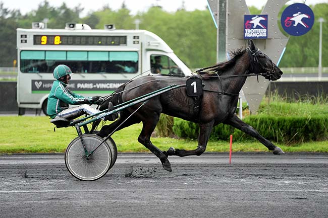 Photo d'arrivée de la course pmu PRIX MURZIM à PARIS-VINCENNES le Mardi 14 mai 2024