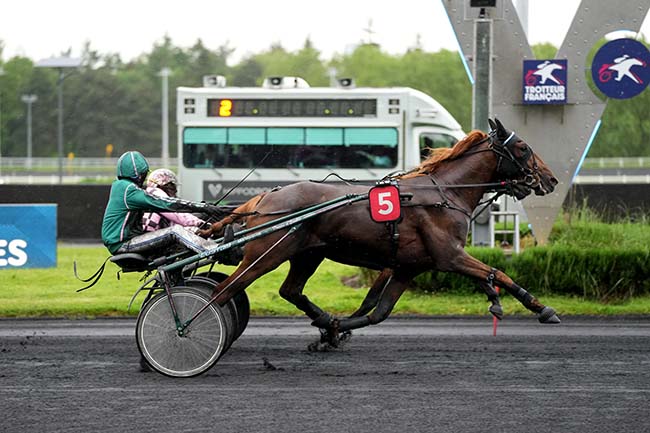 Photo d'arrivée de la course pmu PRIX DE SAUMUR à PARIS-VINCENNES le Mardi 14 mai 2024