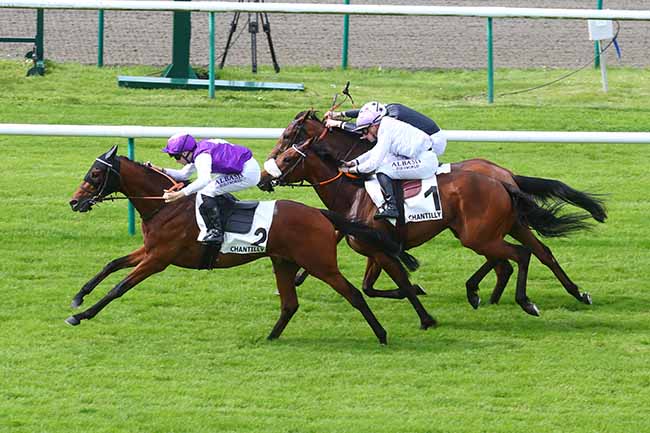 Photo d'arrivée de la course pmu PRIX DES SOIXANTE ARPENTS à CHANTILLY le Vendredi 17 mai 2024