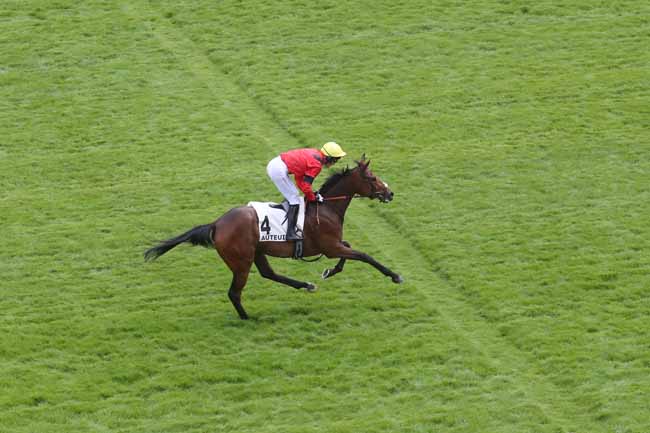 Photo d'arrivée de la course pmu PRIX SAGAN à AUTEUIL le Samedi 18 mai 2024
