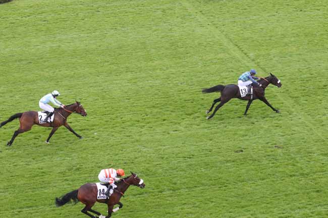 Photo d'arrivée de la course pmu RACING TV GRANDE COURSE DE HAIES D'AUTEUIL à AUTEUIL le Samedi 18 mai 2024