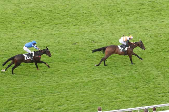 Photo d'arrivée de la course pmu PRIX PRETENTAINE à AUTEUIL le Samedi 18 mai 2024