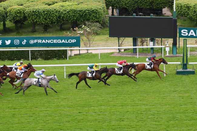 Photo d'arrivée de la course pmu PRIX PISTOL PACKER à SAINT CLOUD le Lundi 20 mai 2024
