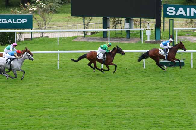 Photo d'arrivée de la course pmu PRIX CORRIDA à SAINT CLOUD le Lundi 20 mai 2024