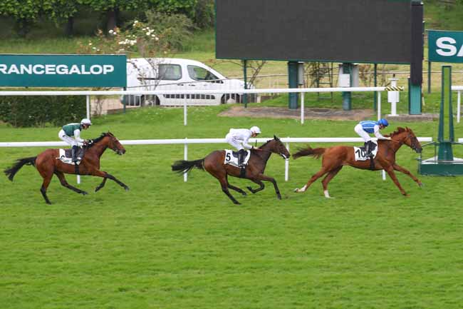 Photo d'arrivée de la course pmu PRIX POT AU FEU à SAINT CLOUD le Lundi 20 mai 2024