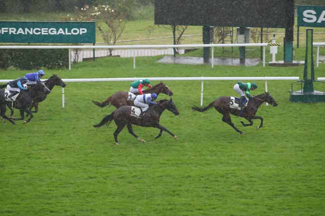 Photo d'arrivée de la course pmu PRIX NASRULLAH à SAINT CLOUD le Lundi 20 mai 2024