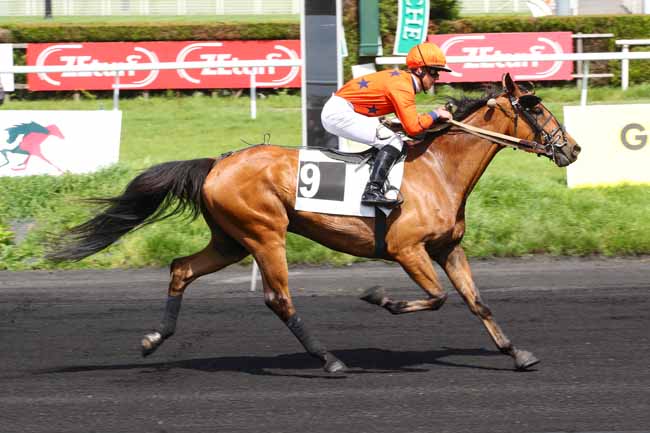 Photo d'arrivée de la course pmu PRIX WWW.CROISE-LAROCHE.FR à LE CROISE-LAROCHE le Mercredi 22 mai 2024