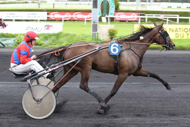Photo d'arrivée de la course pmu GRAND NATIONAL DES AMATEURS à LE CROISE-LAROCHE le Mercredi 22 mai 2024