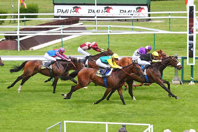 Photo d'arrivée de la course pmu PRIX DE L'ARTOIS à COMPIEGNE le Vendredi 24 mai 2024