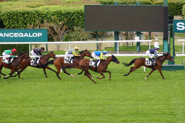 Photo d'arrivée de la course pmu PRIX DE SAINT-GERMAIN-DE-LA-GRANGE à SAINT CLOUD le Samedi 25 mai 2024