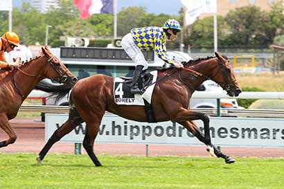 Photo d'arrivée de la course pmu PRIX DU ROVE à MARSEILLE BORELY le Lundi 27 mai 2024