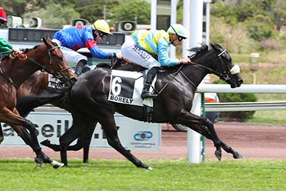 Photo d'arrivée de la course pmu PRIX DU PETIT CERCLE à MARSEILLE BORELY le Lundi 27 mai 2024