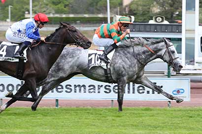 Photo d'arrivée de la course pmu PRIX LOUIS BRUNET à MARSEILLE BORELY le Lundi 27 mai 2024