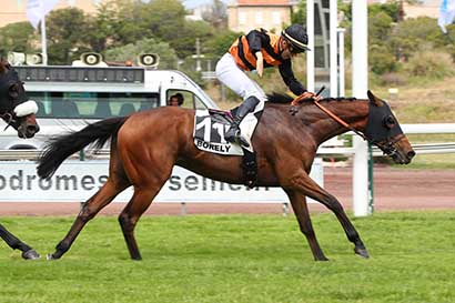 Photo d'arrivée de la course pmu PRIX KAID POUS à MARSEILLE BORELY le Lundi 27 mai 2024
