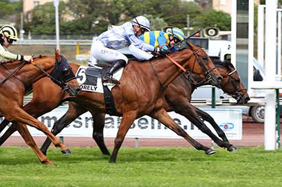 Photo d'arrivée de la course pmu PRIX GEORGES CAMPRUBI à MARSEILLE BORELY le Lundi 27 mai 2024