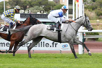 Photo d'arrivée de la course pmu PRIX DE LA COURONNE à MARSEILLE BORELY le Lundi 27 mai 2024