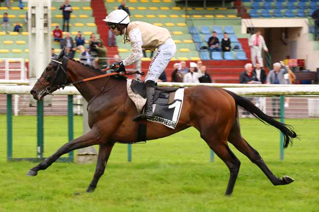 Photo d'arrivée de la course pmu PRIX DE SAINT-GERMAIN à COMPIEGNE le Lundi 27 mai 2024
