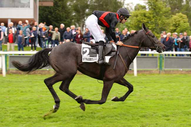 Photo d'arrivée de la course pmu PRIX KLEBER à STRASBOURG le Mercredi 29 mai 2024