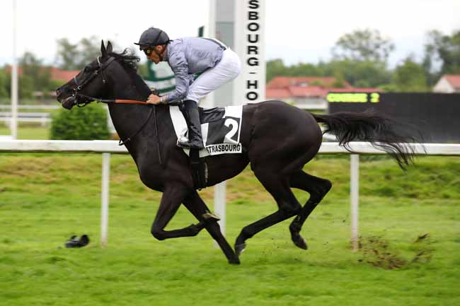 Photo d'arrivée de la course pmu PRIX MAXI FLASH (PRIX ROCK'N ROLL) à STRASBOURG le Mercredi 29 mai 2024