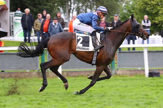 Photo d'arrivée de la course pmu PRIX BFM ALSACE (PRIX DE LA MUSIQUE) à STRASBOURG le Mercredi 29 mai 2024