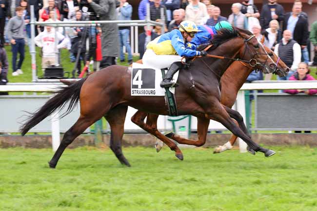 Photo d'arrivée de la course pmu PRIX TRAITEUR CHEZ SOI (PRIX DU JAZZ) à STRASBOURG le Mercredi 29 mai 2024