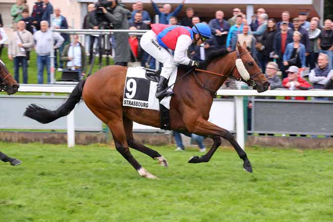 Photo d'arrivée de la course pmu PRIX GDR GROUPE - LE REPARATEUR AUTO (PRIX DE LA VALSE) à STRASBOURG le Mercredi 29 mai 2024