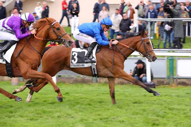 Photo d'arrivée de la course pmu PRIX NATHANAELLE ARTU à STRASBOURG le Mercredi 29 mai 2024