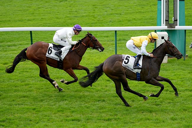 Photo d'arrivée de la course pmu PRIX DE MALMAISON à LONGCHAMP le Jeudi 30 mai 2024