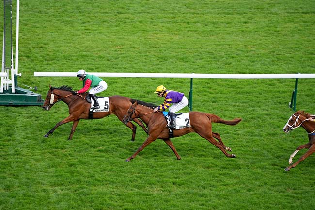 Photo d'arrivée de la course pmu PRIX DE RIVOLI à LONGCHAMP le Jeudi 30 mai 2024