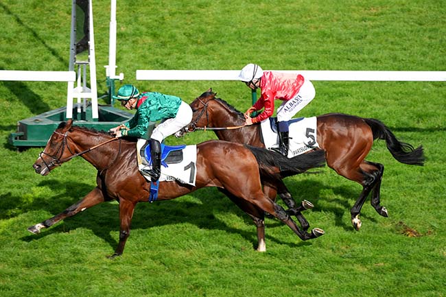Photo d'arrivée de la course pmu PRIX D'ESCOVILLE à LONGCHAMP le Jeudi 30 mai 2024