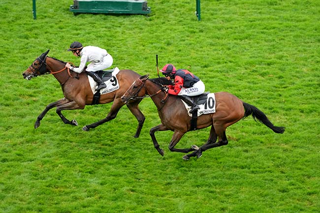 Photo d'arrivée de la course pmu PRIX DU PALAIS DES GLACES à LONGCHAMP le Jeudi 30 mai 2024