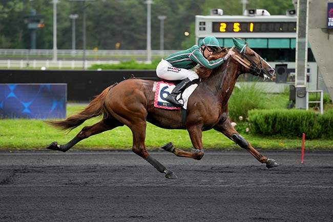 Photo d'arrivée de la course pmu PRIX VICTOR CAVEY - ETRIER 5 ANS Q3 à PARIS-VINCENNES le Vendredi 31 mai 2024
