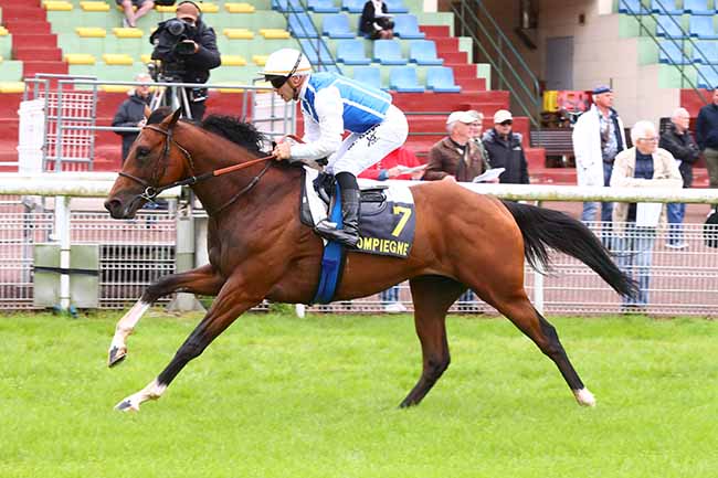 Photo d'arrivée de la course pmu PRIX DE LA DIVETTE à COMPIEGNE le Vendredi 31 mai 2024